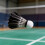 Black Goose Feather Badminton Shuttlecocks Sport Training Hight Activities Speed 12