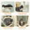 PawHut PawHut Cat Tree, 202cm Cat Tower with Condos, Hammocks, Perches，Beige 6