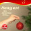 Christmas Bauble Hooks Set of 200 - Silver/Gold 2