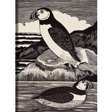 Birds Journal Other Book