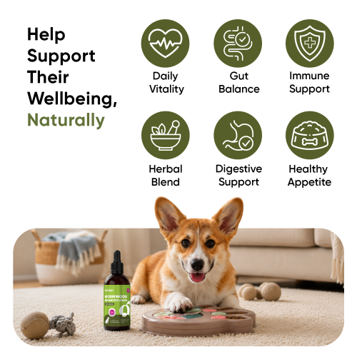 Animigo Wormwood Advanced Liquid for Dogs - 120ml 2