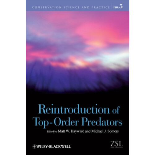 Reintroduction of TopOrder Predators Paperback Book