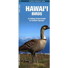 Hawaii Birds 2nd Ed by James Kavanagh Paperback Book