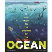 If You Went to the Bottom of the Ocean by Brooke McIntyre Hardcover Bo