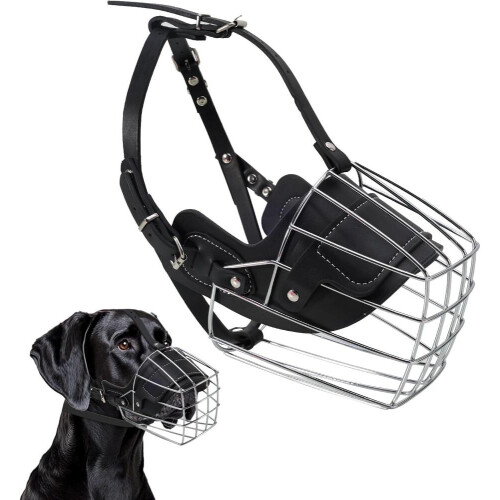 Bull Terrier Muzzle for Training and Walking, Anti-Biting Dog Basket Muzzle with Neoprene Padding, Breathable Wire Desig