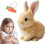 Διαδραστικό παιχνίδι Hopping Bunny 2025, ηλεκτρικό λούτρινο παιχνίδι κουνελιού με 1