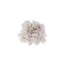 50g Preserved Fresh Moss Reindeer Floral Moss compatible with Wedding Party Fairy Gardens Terrariums DIY Craft Floral Project (White)