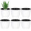 Self-Watering Plastic Planter Pot for Long Term Water Storage 1