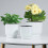 Self-Watering Plastic Planter Pot for Long Term Water Storage 2