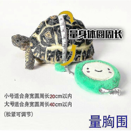 Arnés y correa para mascotas Mini Turtle para exteriores. 1