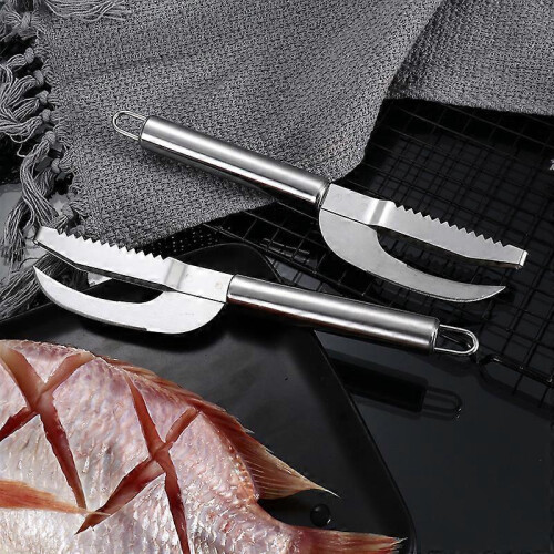 Quick Fish Scale Remover Brush Scraper Shaver Knife Fishing Kitchen Tool 1pc Silver 1