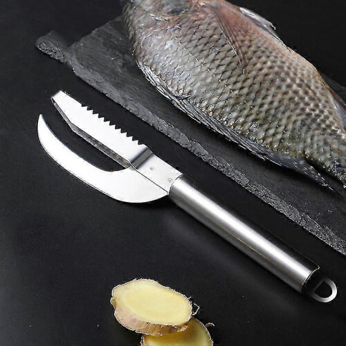 Quick Fish Scale Remover Brush Scraper Shaver Knife Fishing Kitchen Tool 1pc Silver 2