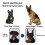 (10*5cm) Dog Ear Correction Patch, Arc Design Anti-Allergy, Multiple Sizes for Ear Standing Support 4