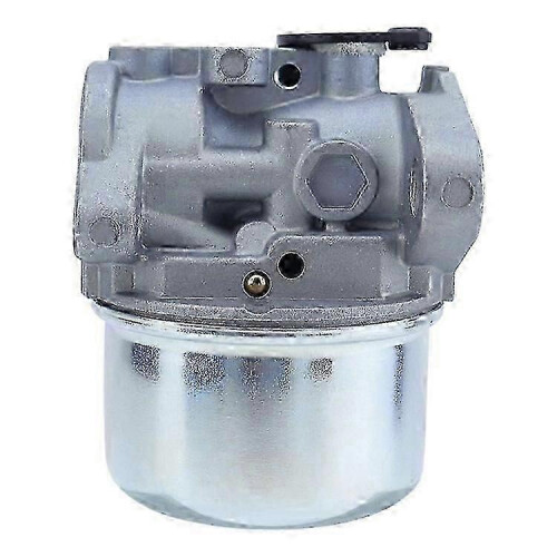 Engine Carburetor Air Filter Spark Plug Kit for Briggs Stratton 799868 Lawn Mower 2
