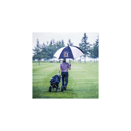 Windproof Golf Umbrella, Blue,White, 62-Inch 1