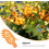 Tree Fruit Harvester Picker Basket for Orange Lemon Pear Peach (Yellow Orange White) 2
