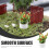 1Mini Bonsai Model Voor Mini Huis En Decoratie 4