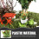 1Mini Bonsai Model Voor Mini Huis En Decoratie 3