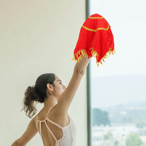 4St Lichtgewicht Danshanddoek Beginners En 2