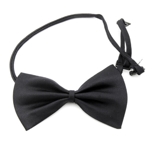 1Verstelbare Zwarte Bowknot Halsband Hond En Kat