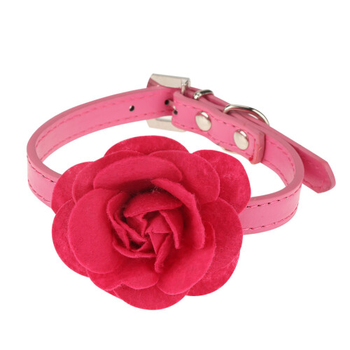 Romantisches Rosen-Halsband für Haustiere 1