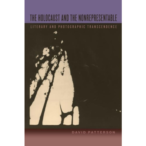 Holocaust and the Nonrepresentable by David Patterson Paperback Book