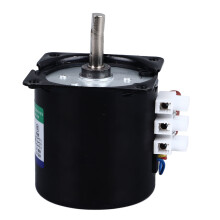 Präzisions Mikro Langsamläufer Eisen Motor