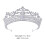 Delicate Bruiloft Tiara Bruids Kroon Met En Parel Inleg 2