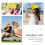 1St Zomerse Reflecterende Baseball Snapback Pet Casual 6