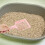 4St Kattenbak Schep Plastic Comfortabele Handgreep Huisdieren 3