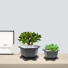 2Sets Plastic Donkergrijs PP Stevige Plantenhouder Voor Thuis