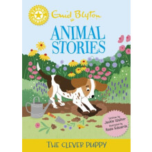 Reading Champion Enid Blyton animal stories The Clever Puppy by Jackie