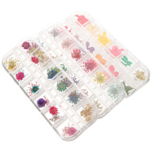 3Box Natuurlijke Gedroogde Voor , Resin En Nagelversiering