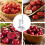 Portable Fruit Extractor Stainless Steel Compact Stable 15x10cm Kitchen Tool 4