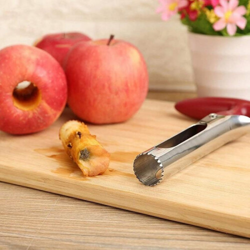 18cm Stainless Steel Fruit Corer for Apple and Pear, Kitchen Tool Set 1