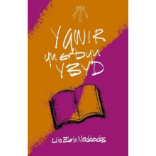 Y Gwir yn Erbyn y Byd by Llio Maddocks Paperback Book