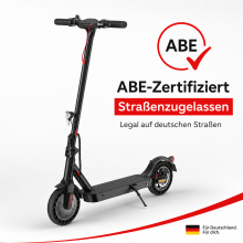 E9TMAX Elektroroller,36V 10Ah Lithium-Batterie, 500-W-Motor, 20 km/h , 35-40 km Reichweite,ABE-zertifiziert