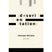 dsorientation by Charleen McClure Paperback Book
