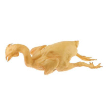 (Salt Roasted Chicken) Dekorative künstliche Lebensmittelauslage für Schaufenster, realistisches PVC-Modell, 19–38 cm