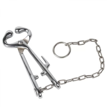 Pinze per il naso del bestiame, pinze per anelli nasali in acciaio inossidabile, forniture veterinarie.