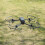Quick-Release Propeller Guard for DJI Mavic 3 Drone - Protect Your Props 10