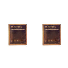 2X BM1366BS ASIC-Chip för S19K Pro BM1366 Gruvchip
