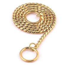 (Gold, 22IN(55CM)) Koirakoulu P-ketjukaulus, 316L ruostumaton teräs, 18K kultapinnoitus, kaikille koirankokoille