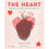 Heart by Noemi Fabra Hardcover Book 1