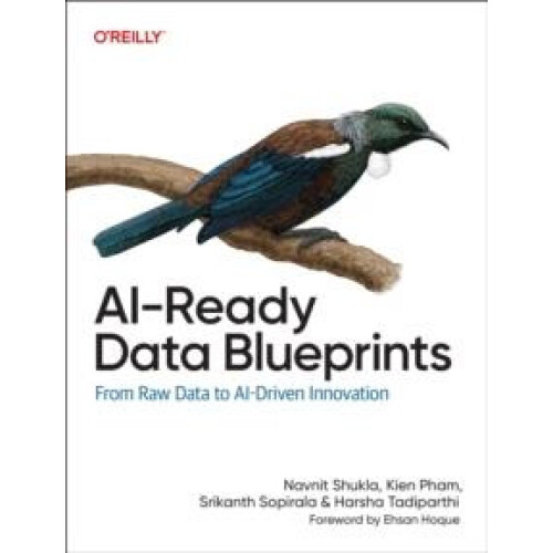 AIReady Data Blueprints by Harsha Tadiparthi Paperback Book