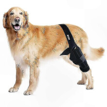 (S) Rodillera para perro para pata trasera, tejido neopreno transpirable, alivia dolor de artritis y apoya recuperación postoperatoria