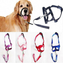 (Purple, 2X) Muilkorf voor honden in Halti-stijl, met verstelbare nylon riem voor het trainen van honden die trekken aan de riem.