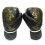 Kinder-Trainingshandschuhe Boxen 2