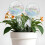 4 Pezzi Globetti d'Acqua Iridescenti, Inserti per Piante, Irrigazione Automatica per Piante Indoor 1