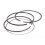 Briggs & Stratton 698375 STD Ring Set Ersatzteil 1